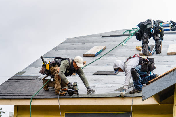 Professional Storm Damage Roof Repair technician working in McKenna, WA