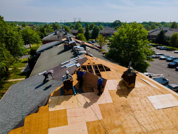 24/7 Emergency Storm Damage Roof Repair experts in McKenna, WA